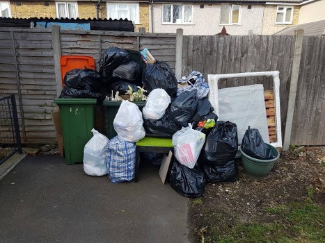 A clean garden in Merton with fresh greenery